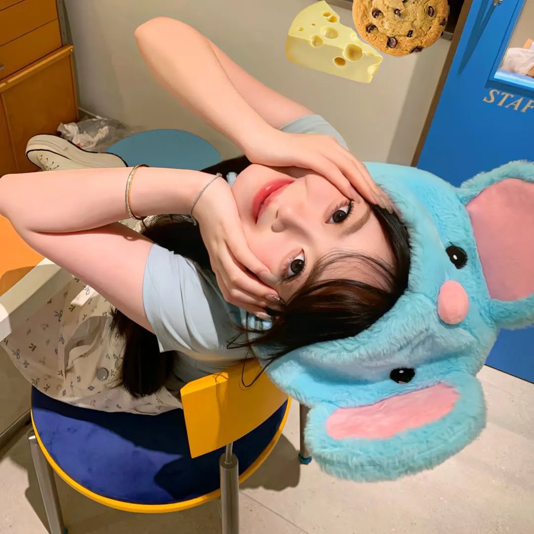 局内者们