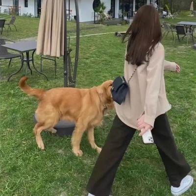 恋爱的伎俩