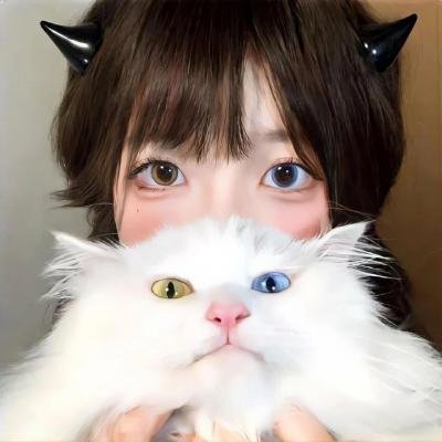 狮心王理查