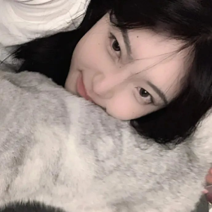 绵羊小铃