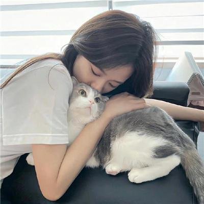 龙虎门